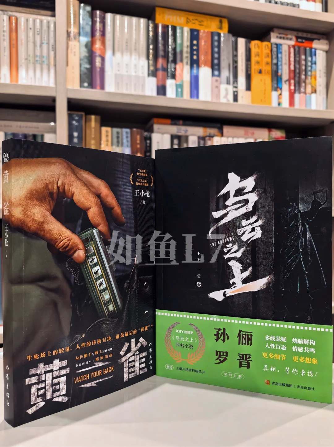 2025年4~5月鱼叔新购阅国产悬疑新作10种