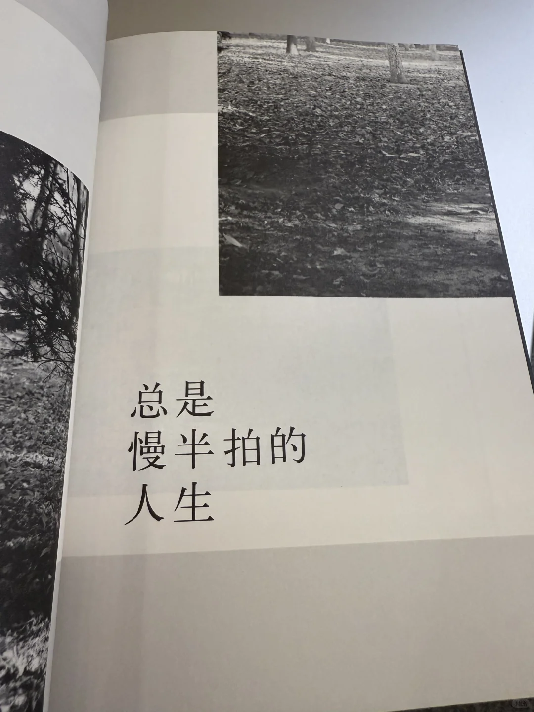 她最擅长在废墟里，指给我们看星星！