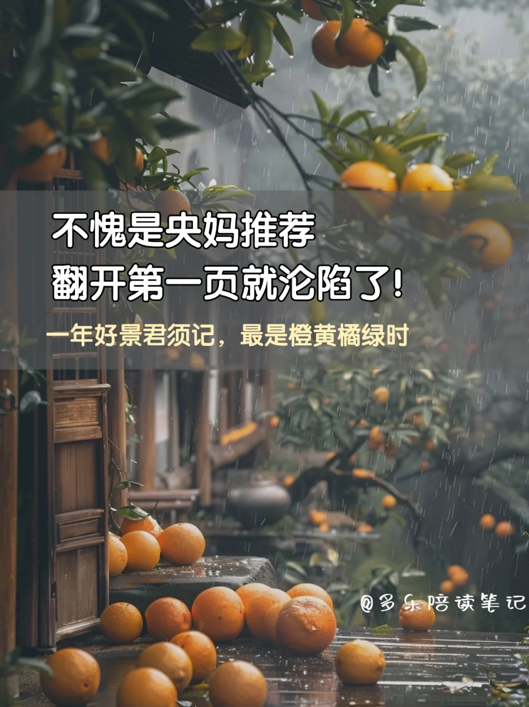 不愧是央妈力荐的书，被狠狠地治愈了！
