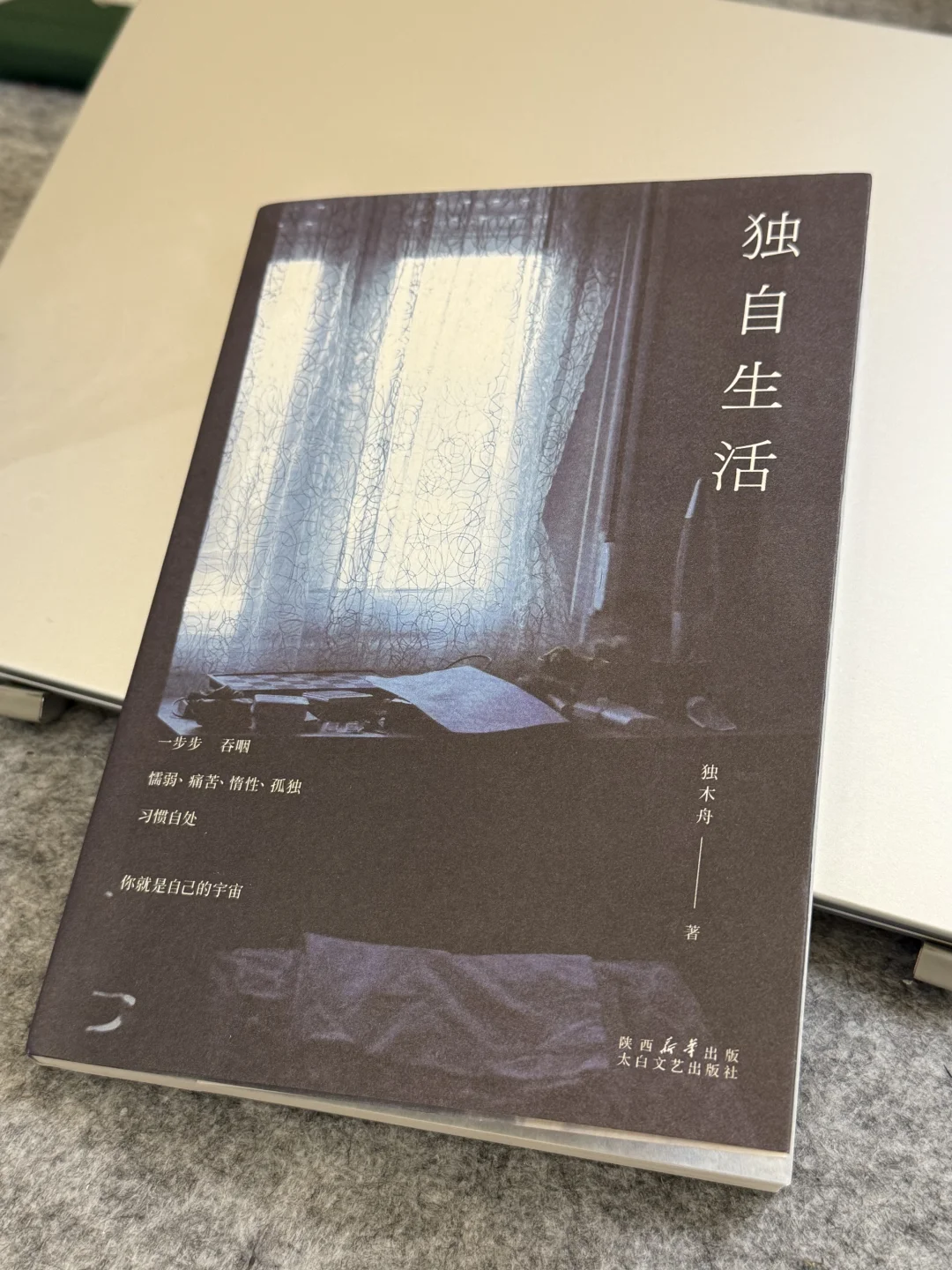 她最擅长在废墟里，指给我们看星星！