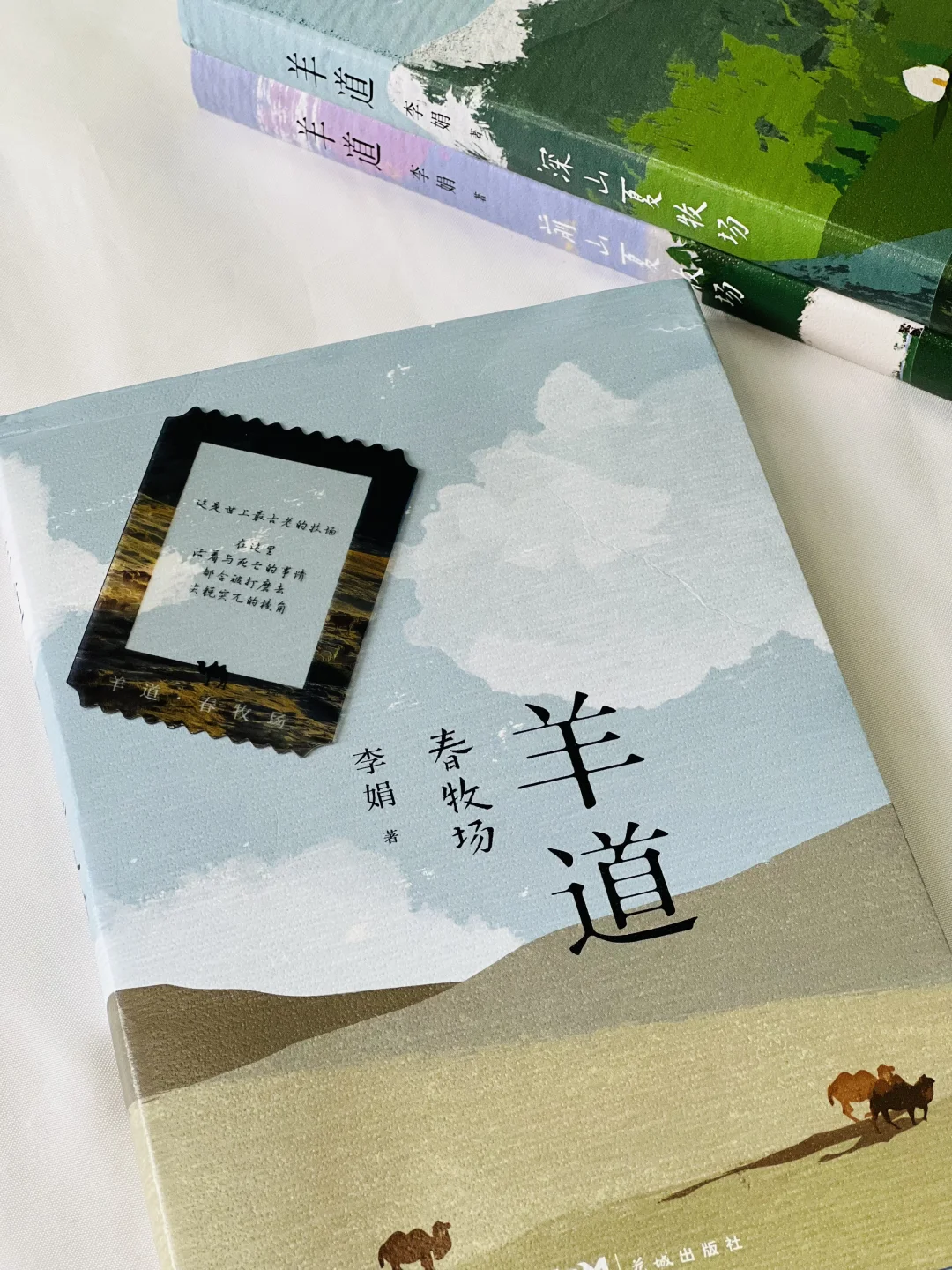 赠书｜我宣布！今年夏天蕞治愈的书出现了！