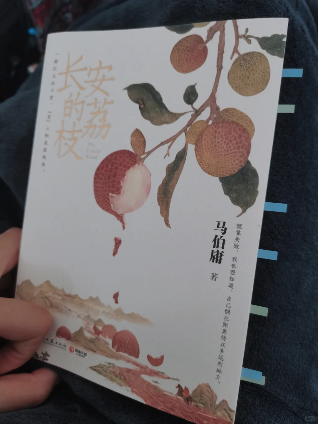 读得停不下来