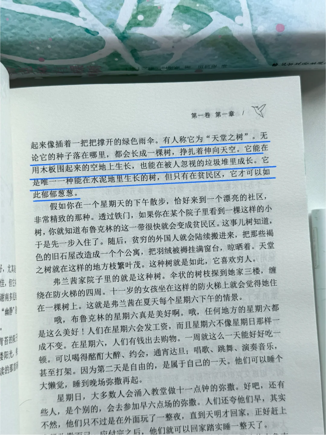 豆瓣9.1神作！这是我人生最庆幸读到的一本书