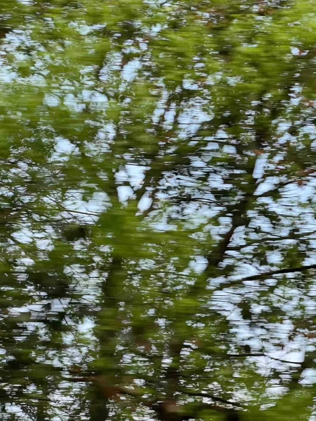 无所事事的日子也很重要🍃我的春日书单