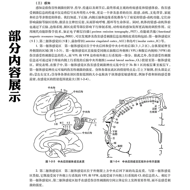 实用疼痛学 第2版 2025年新书推荐