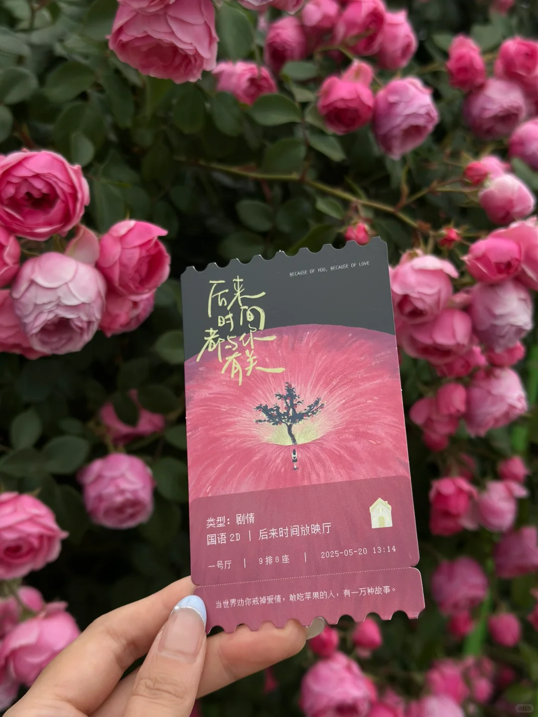 我今年读过最有意义的书，释怀了此生的遗憾。