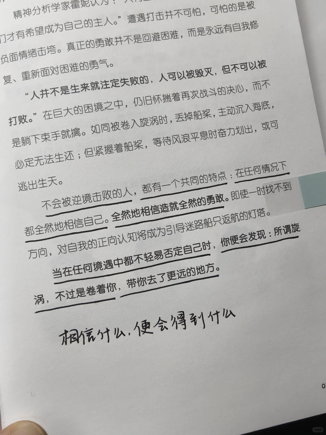 太治愈了！2025年让我哭着笑出来的书！😭