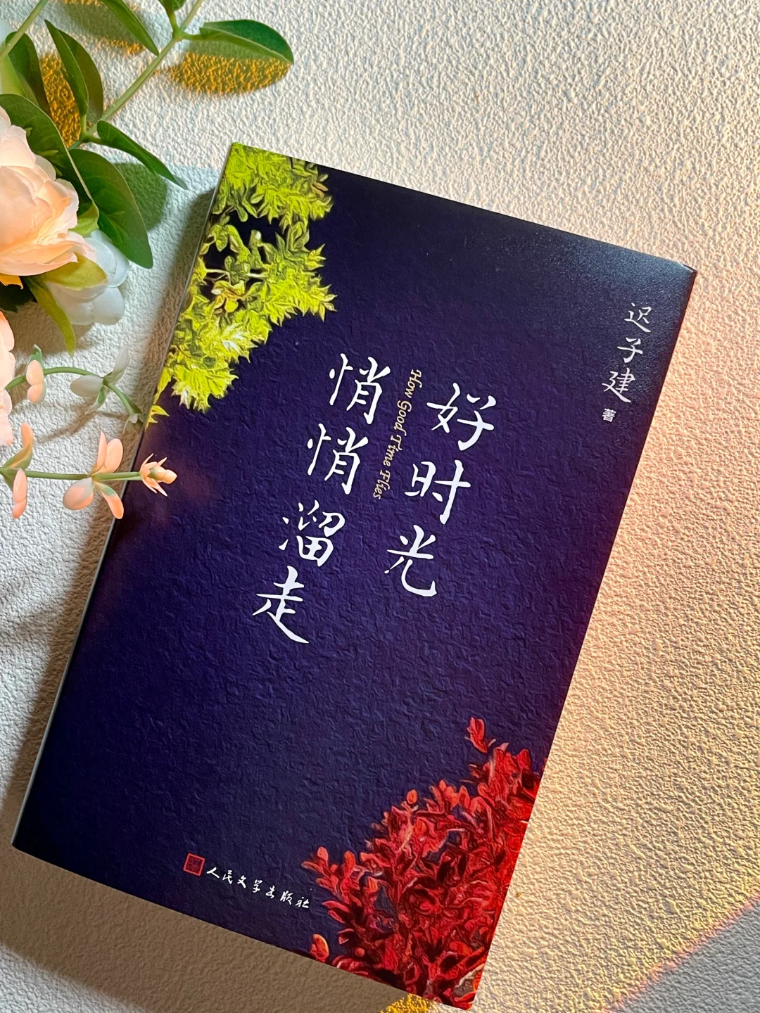 迟子建老师的新书‼️