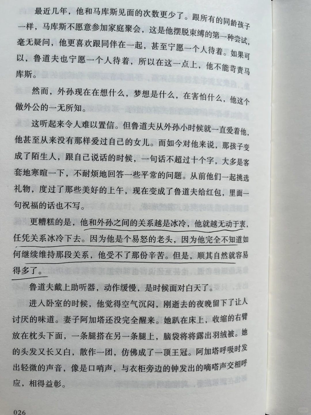 平静不属于人类，属于晒太阳的猫、不动的山。