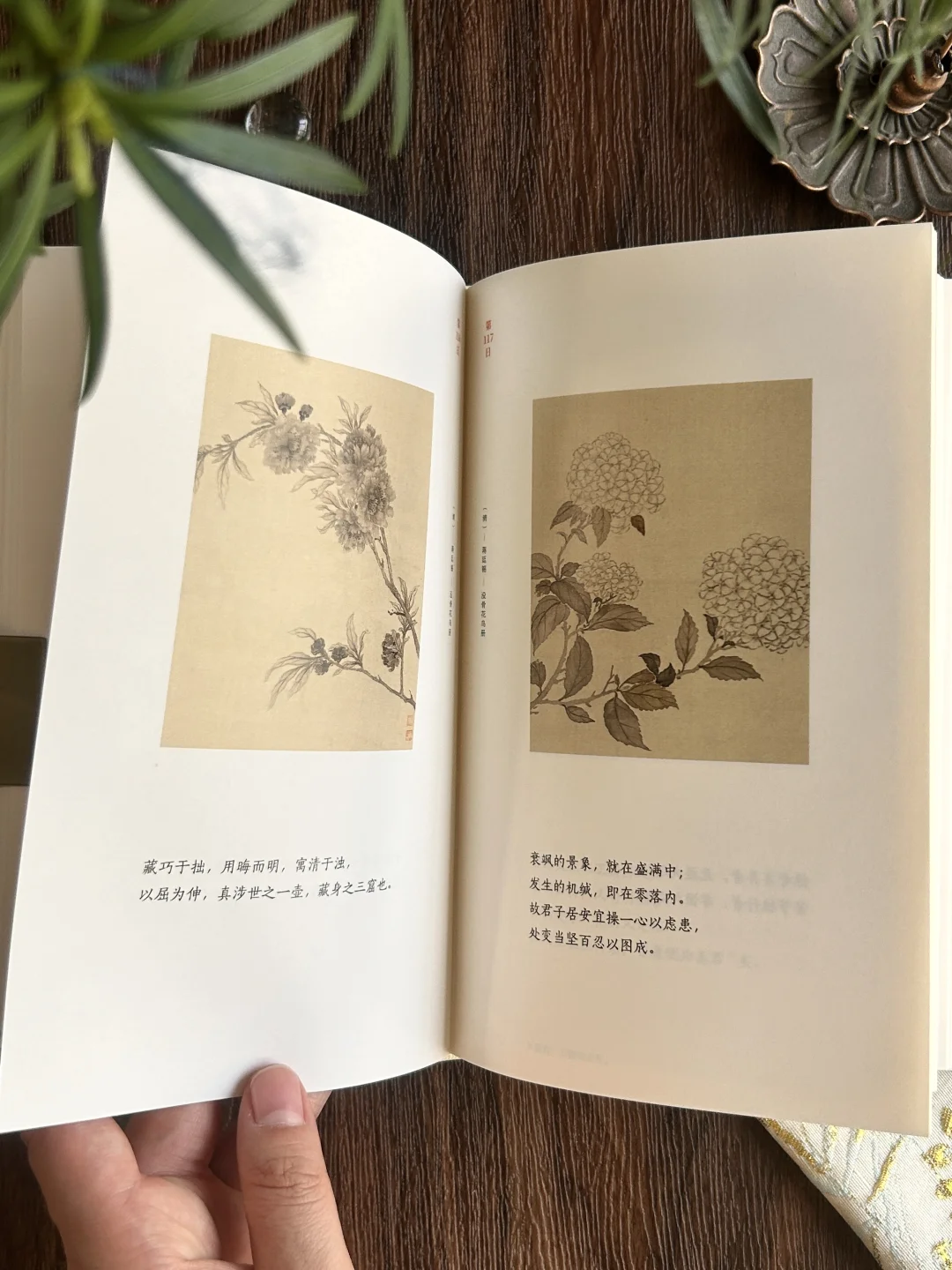 高分奇书|句句皆精华,小书里藏着处世大智慧