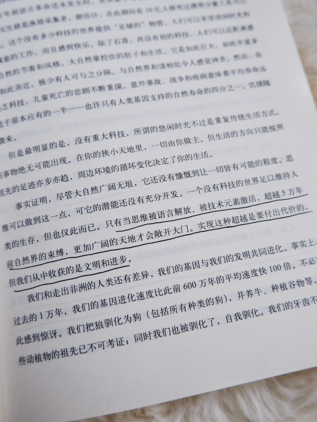 《科技想要什么》｜一本被低估的未来预言之书