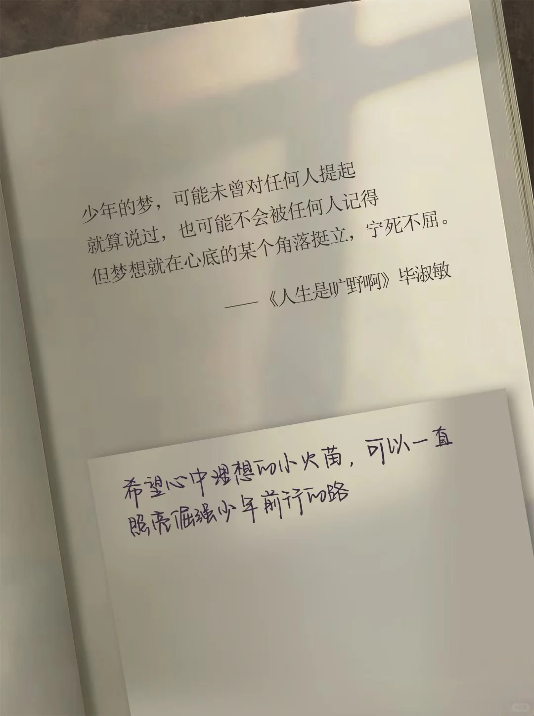 毕淑敏这本新书，狠狠治愈了内耗