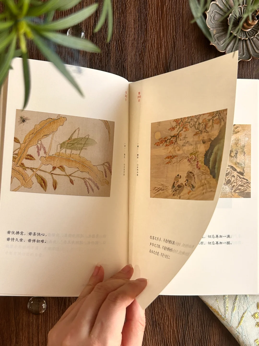 高分奇书|句句皆精华,小书里藏着处世大智慧
