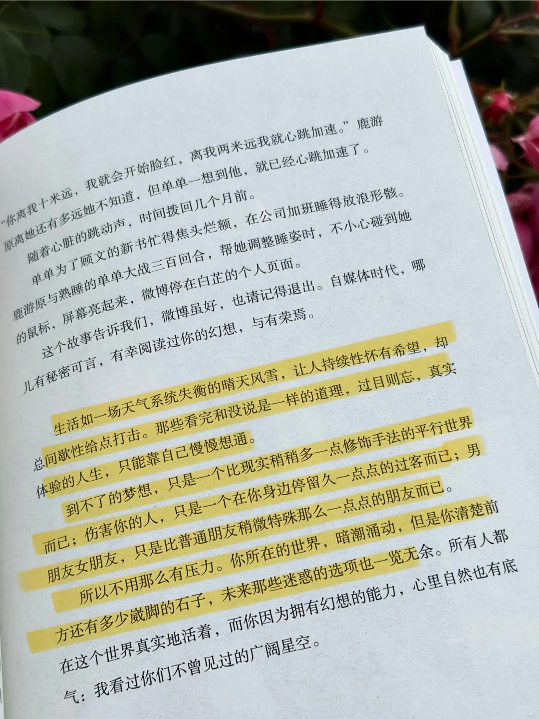 我今年读过最有意义的书，释怀了此生的遗憾。