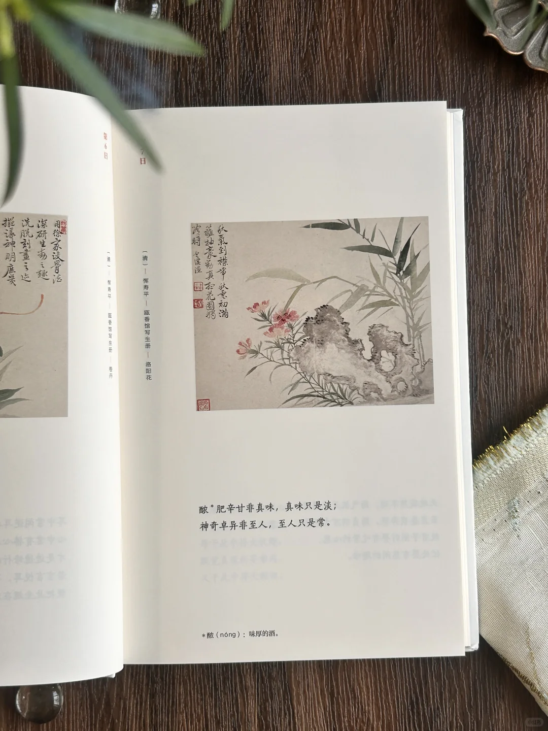 高分奇书|句句皆精华,小书里藏着处世大智慧