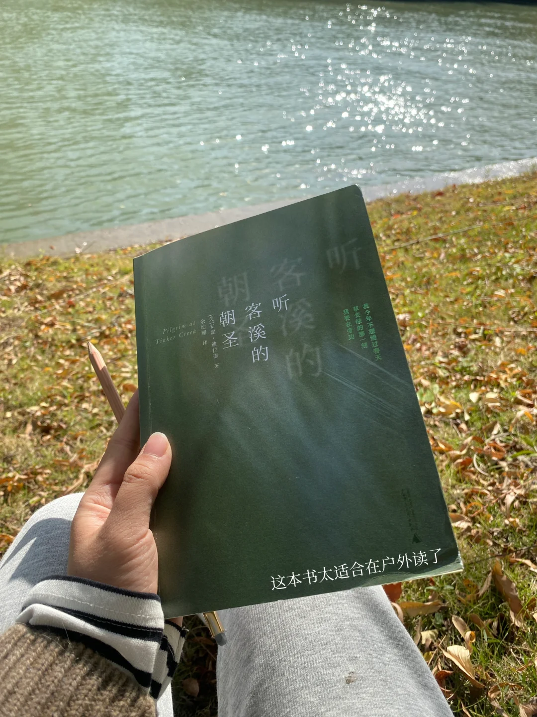 挖到宝了❕她的文字美到令人心颤啊啊啊