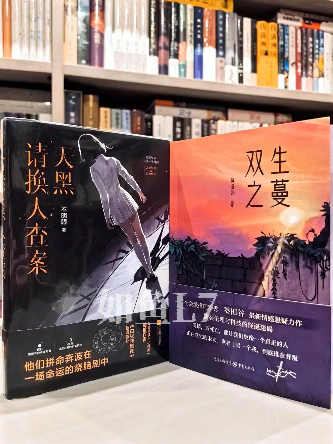 2025年4~5月鱼叔新购阅国产悬疑新作10种
