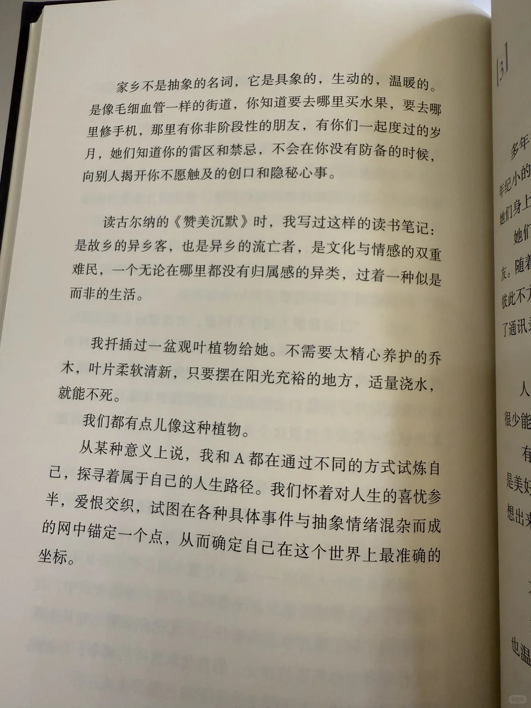 她最擅长在废墟里，指给我们看星星！