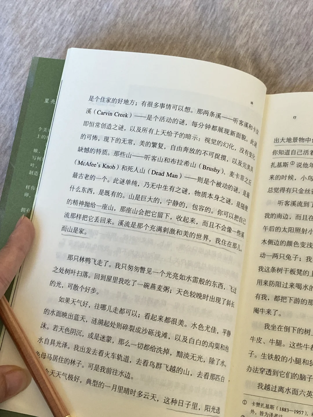 挖到宝了❕她的文字美到令人心颤啊啊啊