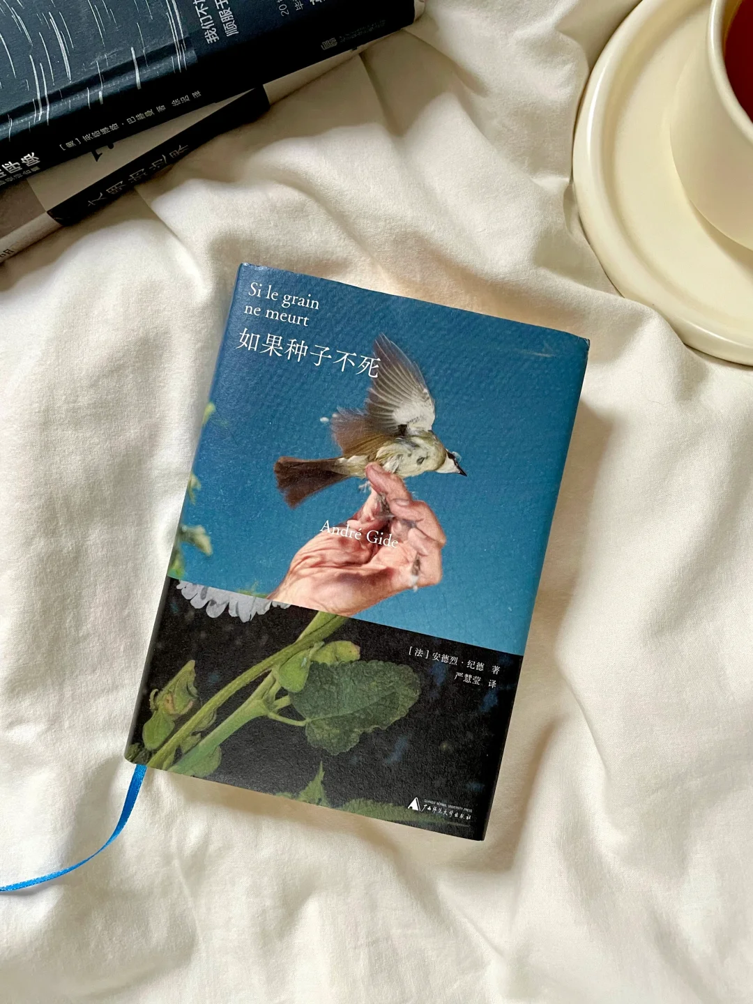 从窄门到种子，纪德用文字照见灵魂的撕裂