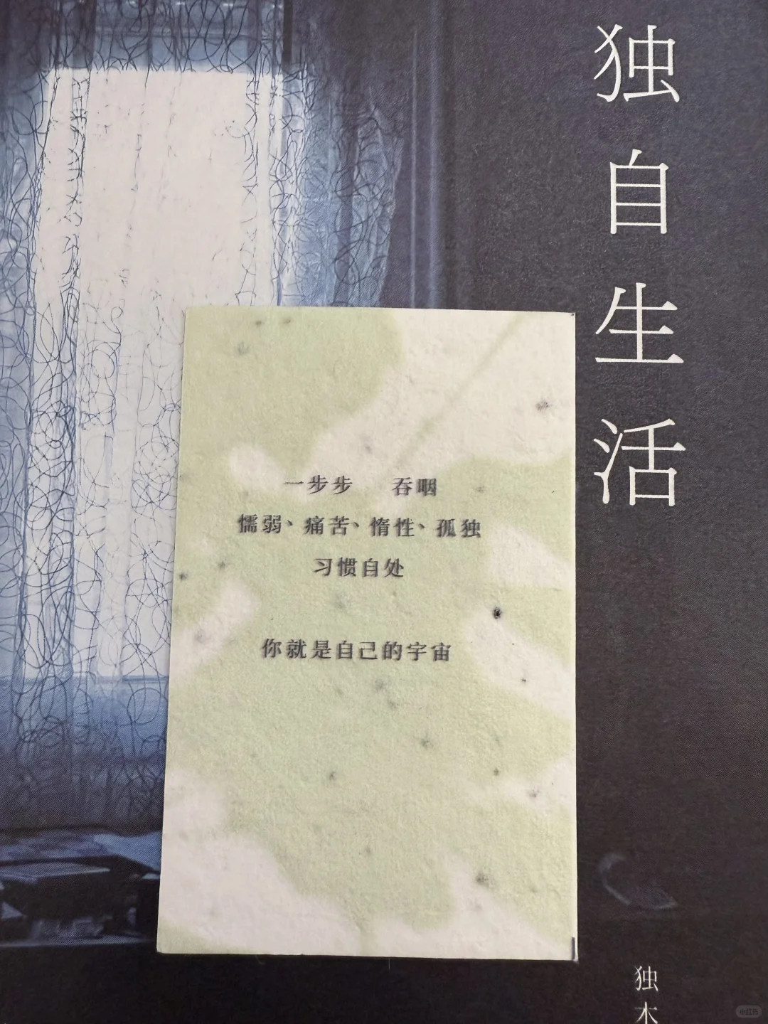 她最擅长在废墟里，指给我们看星星！