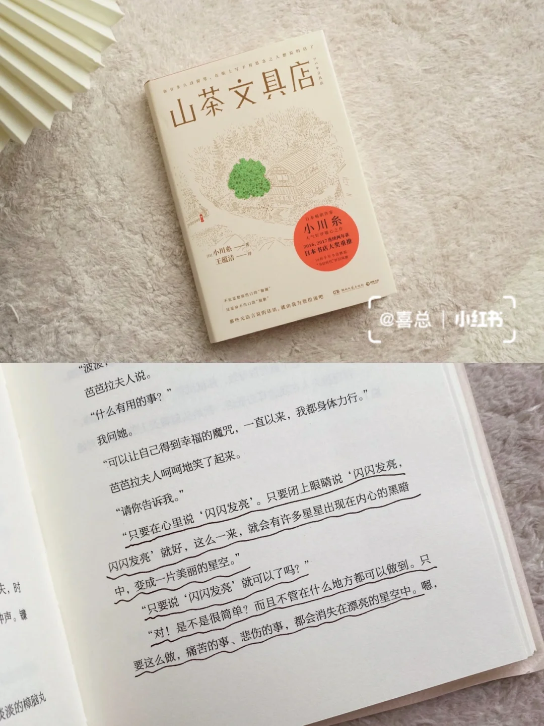 近期治愈书单｜送给敏感、迷茫、爱拧巴的你🪐