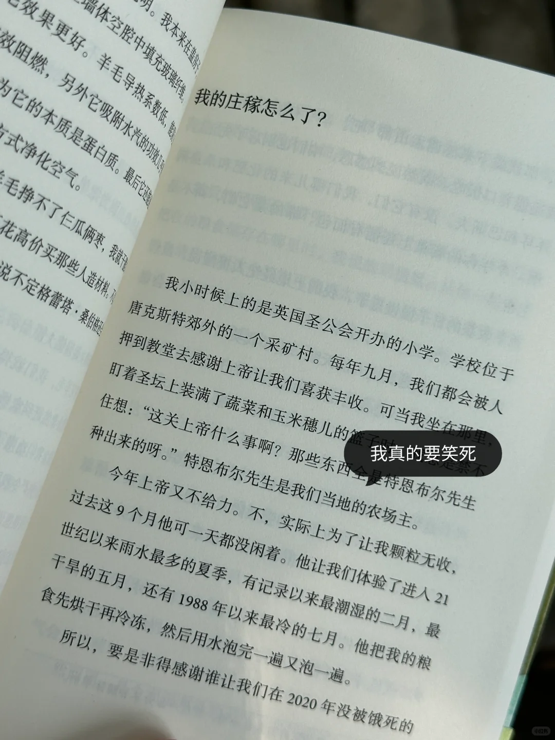求你们去看！今年读到最最最解压的一本！
