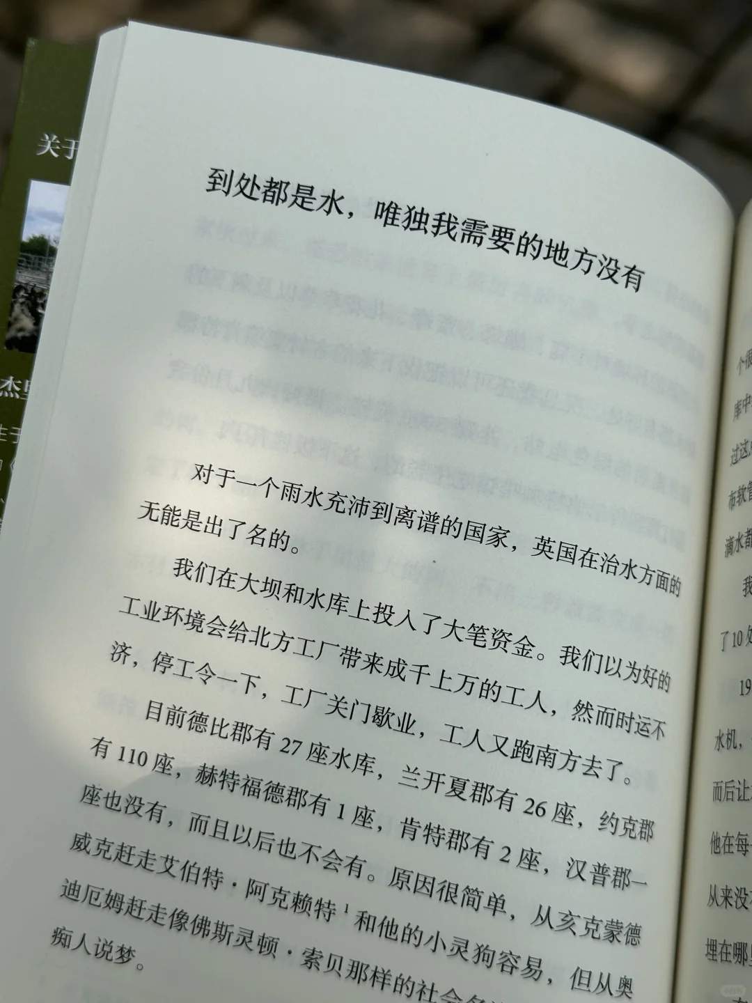 求你们去看！今年读到最最最解压的一本！