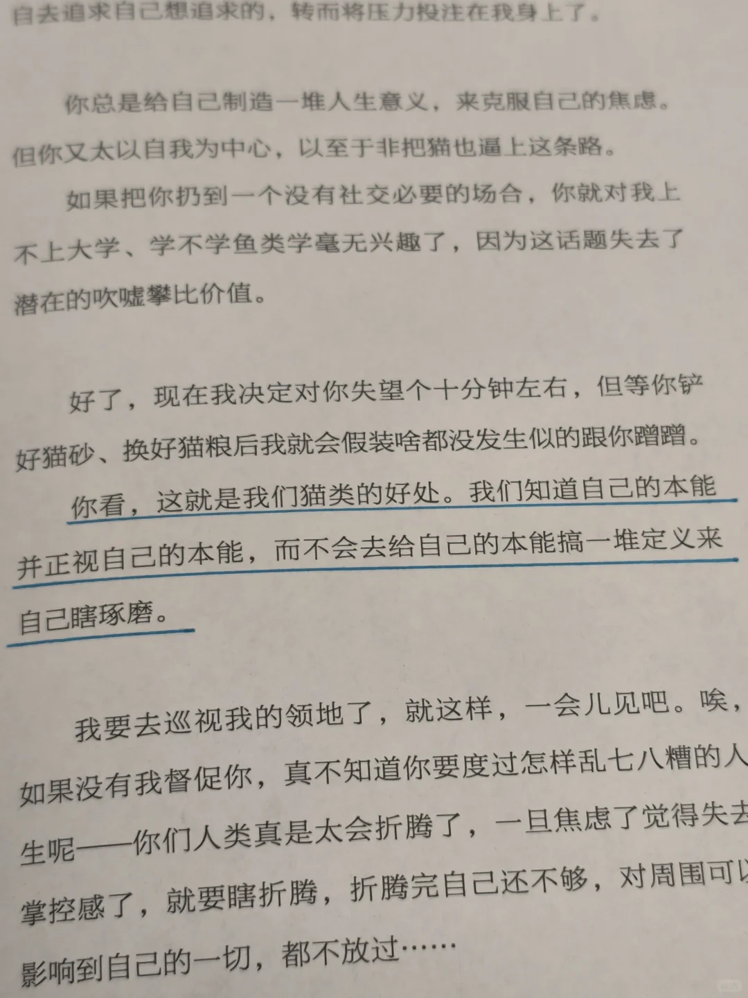 超治愈！别让生活偷走你的快乐超能力！！
