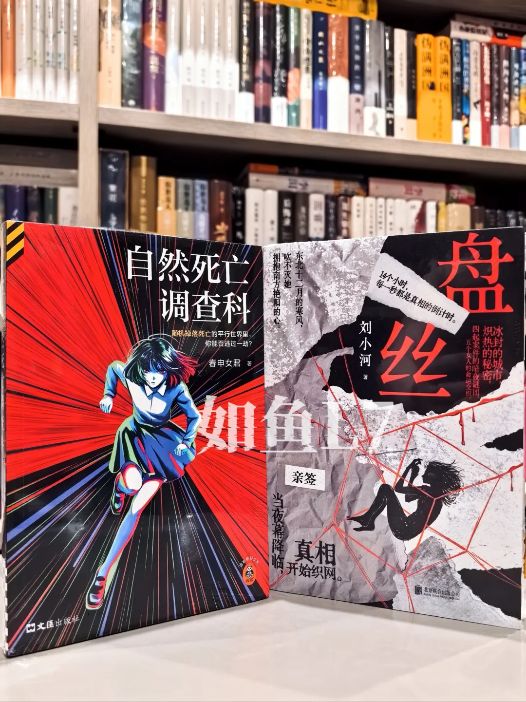 2025年4~5月鱼叔新购阅国产悬疑新作10种