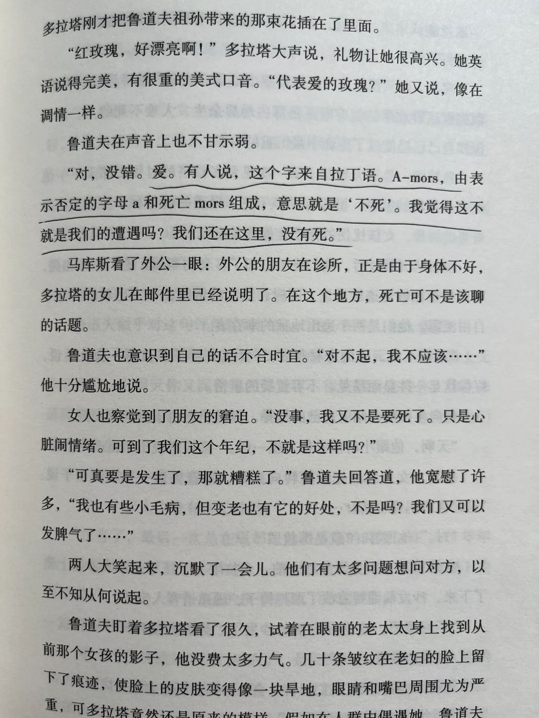 平静不属于人类，属于晒太阳的猫、不动的山。