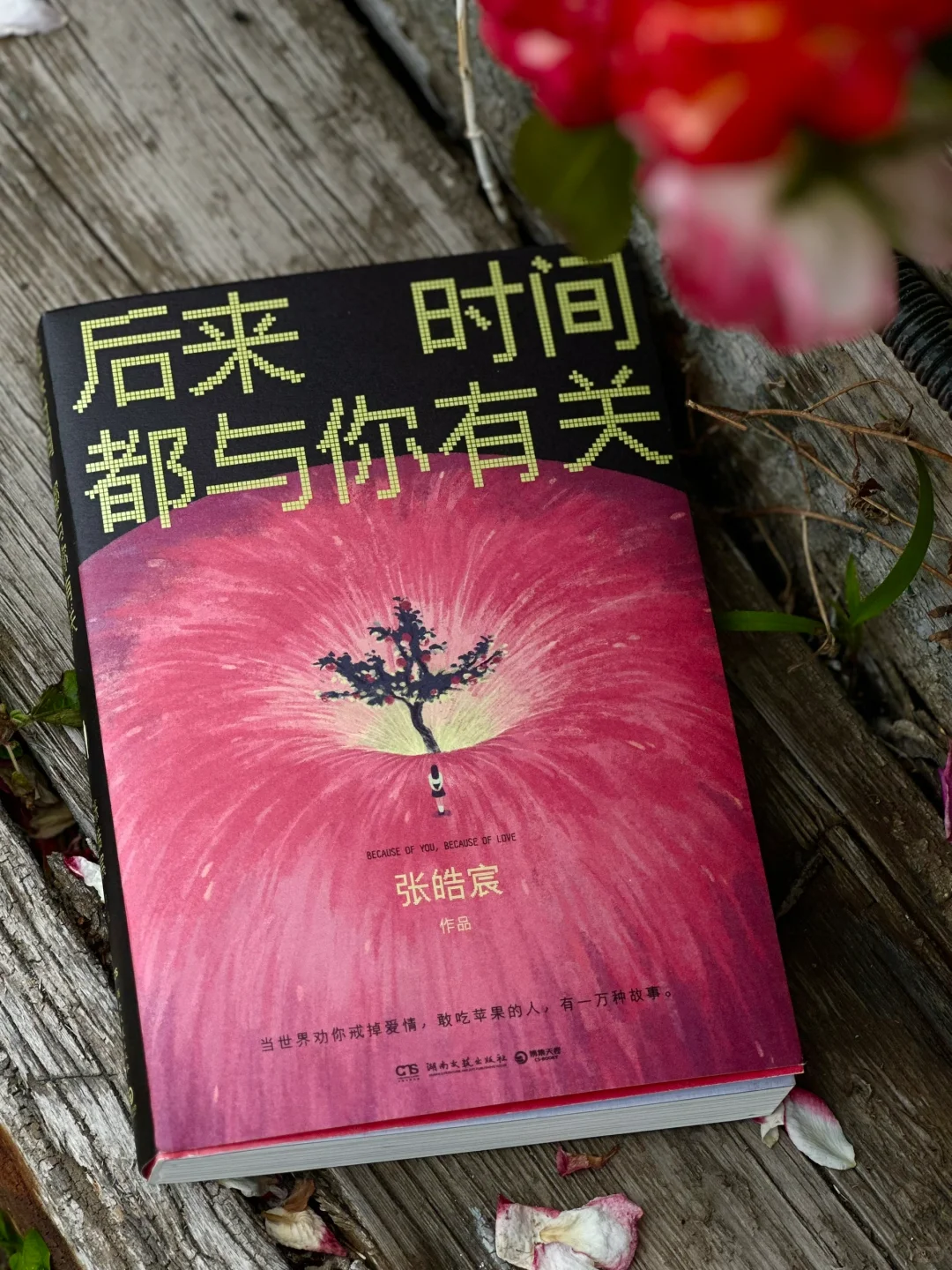 我今年读过最有意义的书，释怀了此生的遗憾。