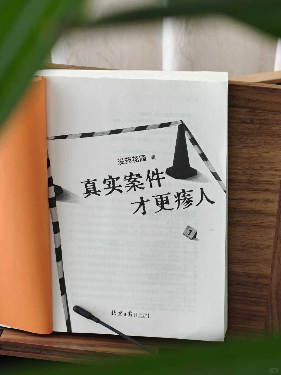 📖新书尝鲜|“恶魔藏在最温柔的微笑里”