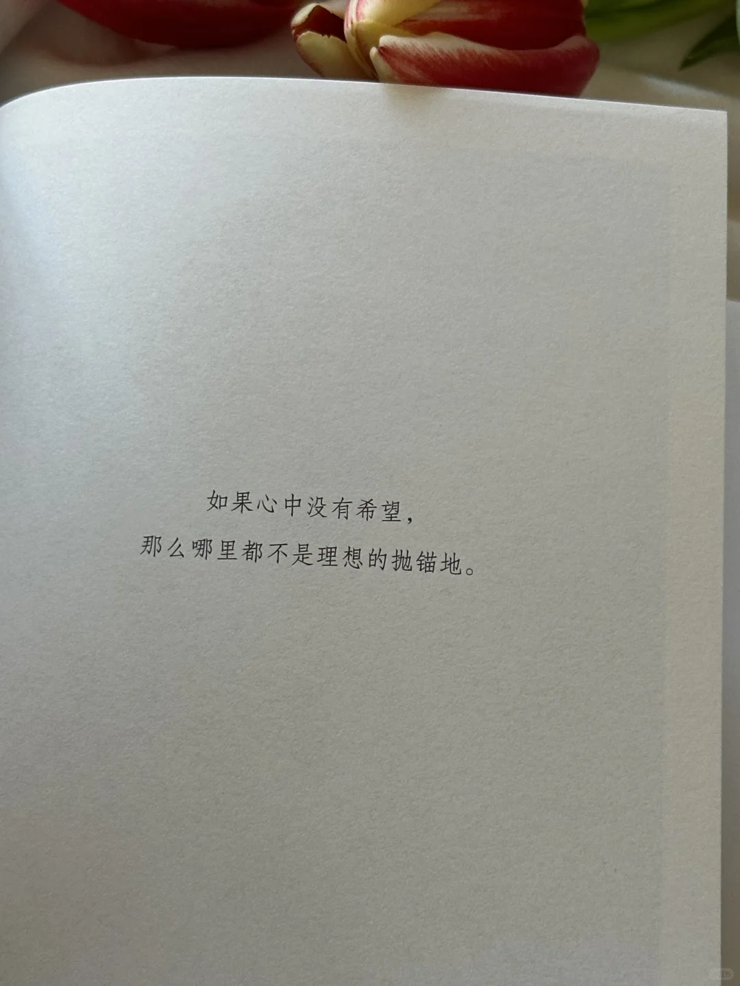 怎么会有这么治愈的书啊，我太太爱了💙