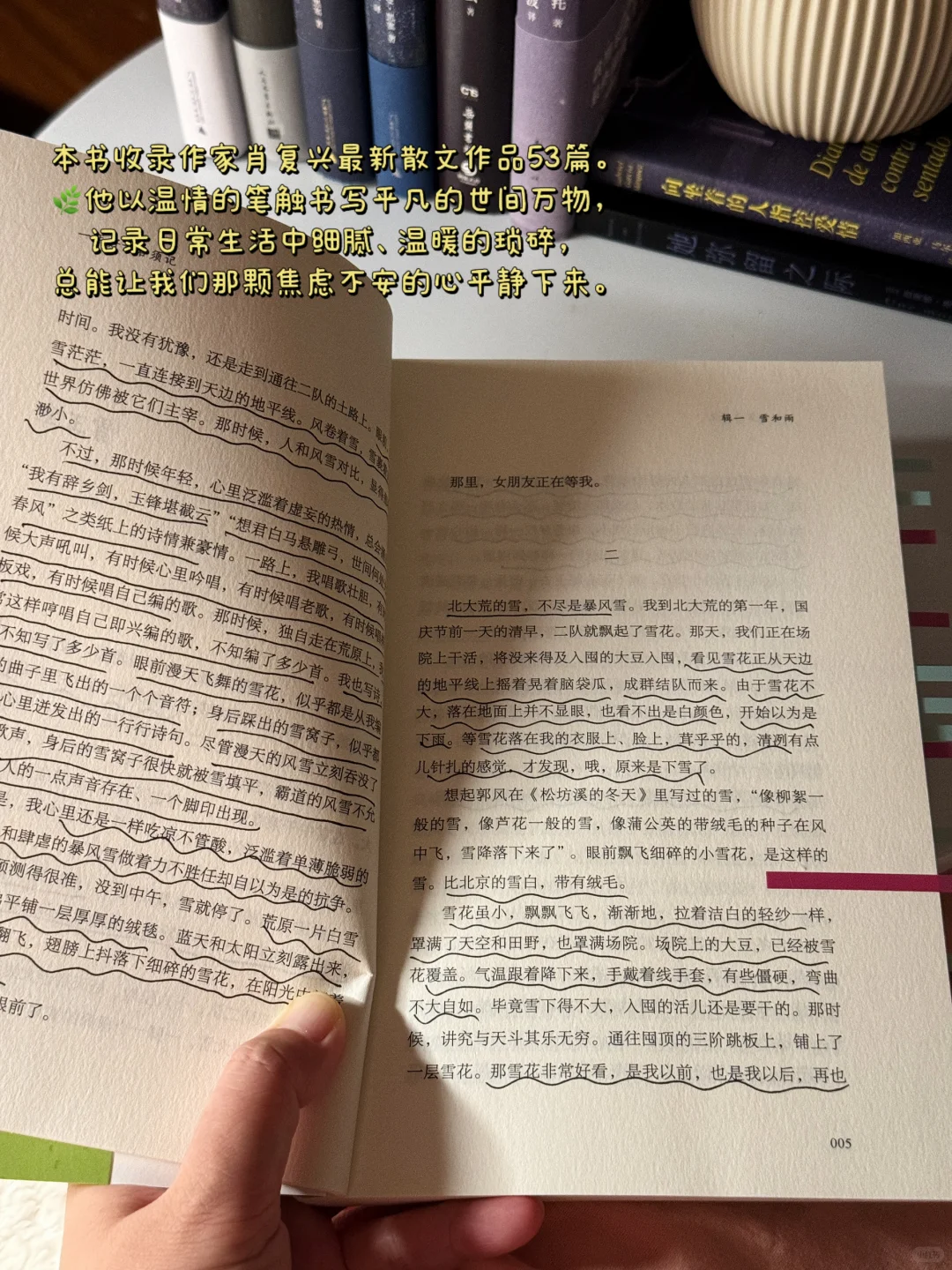 死磕这5本散文书，文笔真的可以脱胎换骨！