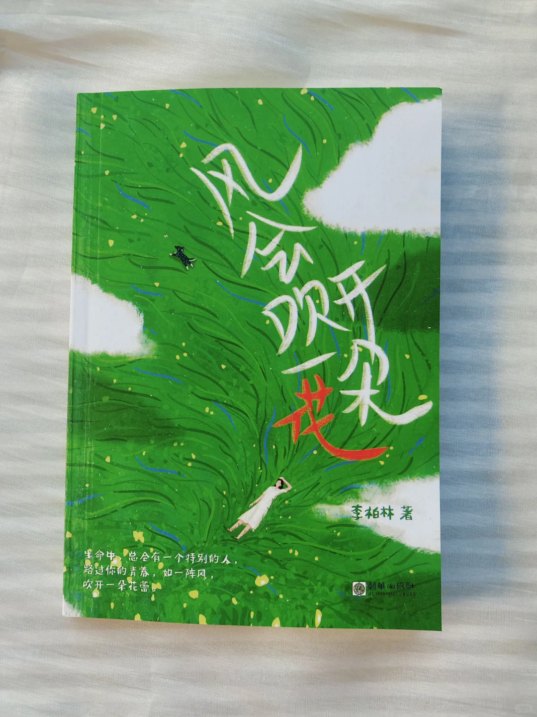 狠狠沦陷！读到一本文笔超超超绝的散文书‼️