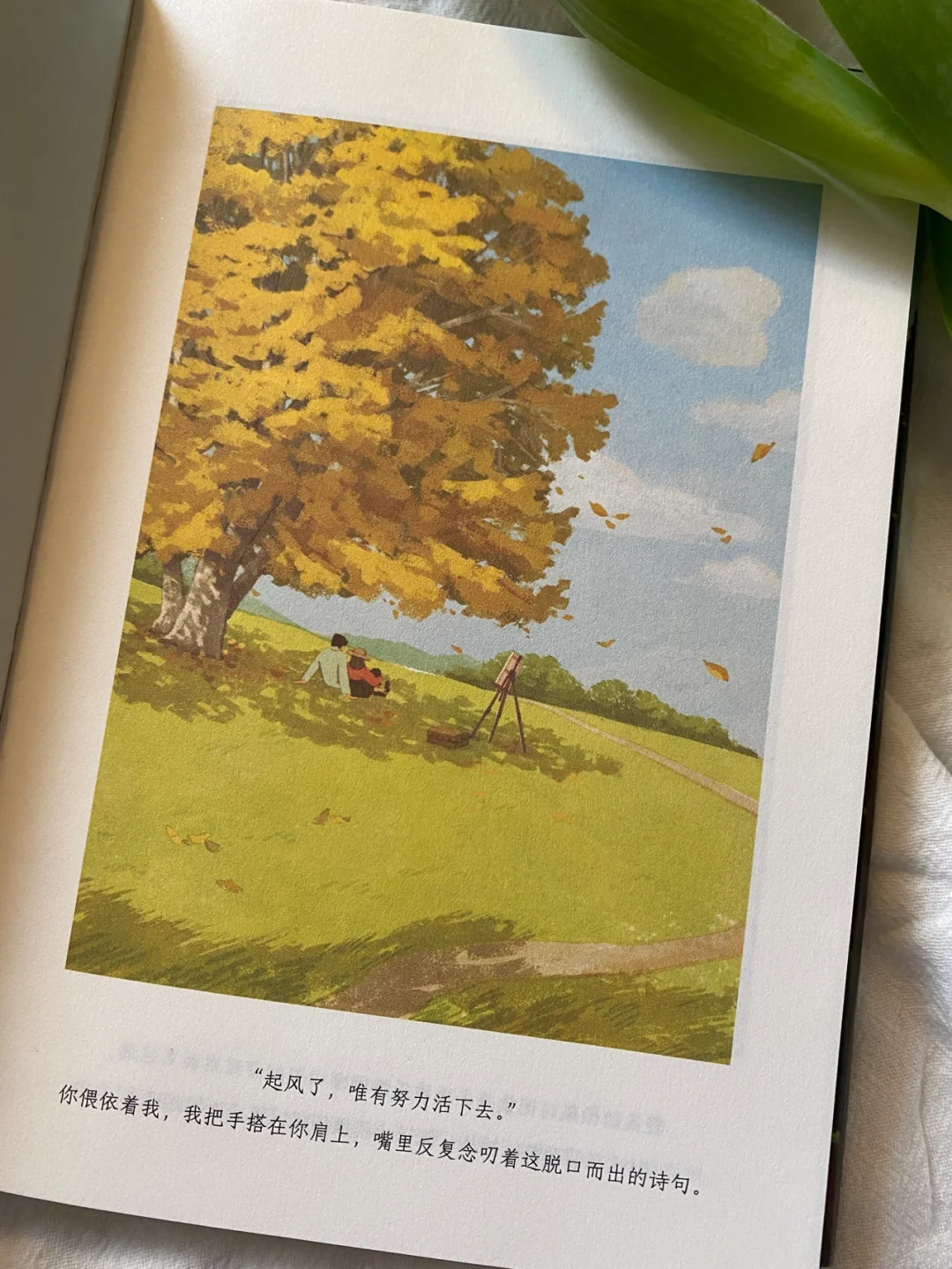 治愈书单|《起风了》学会和刻在心底的人告别