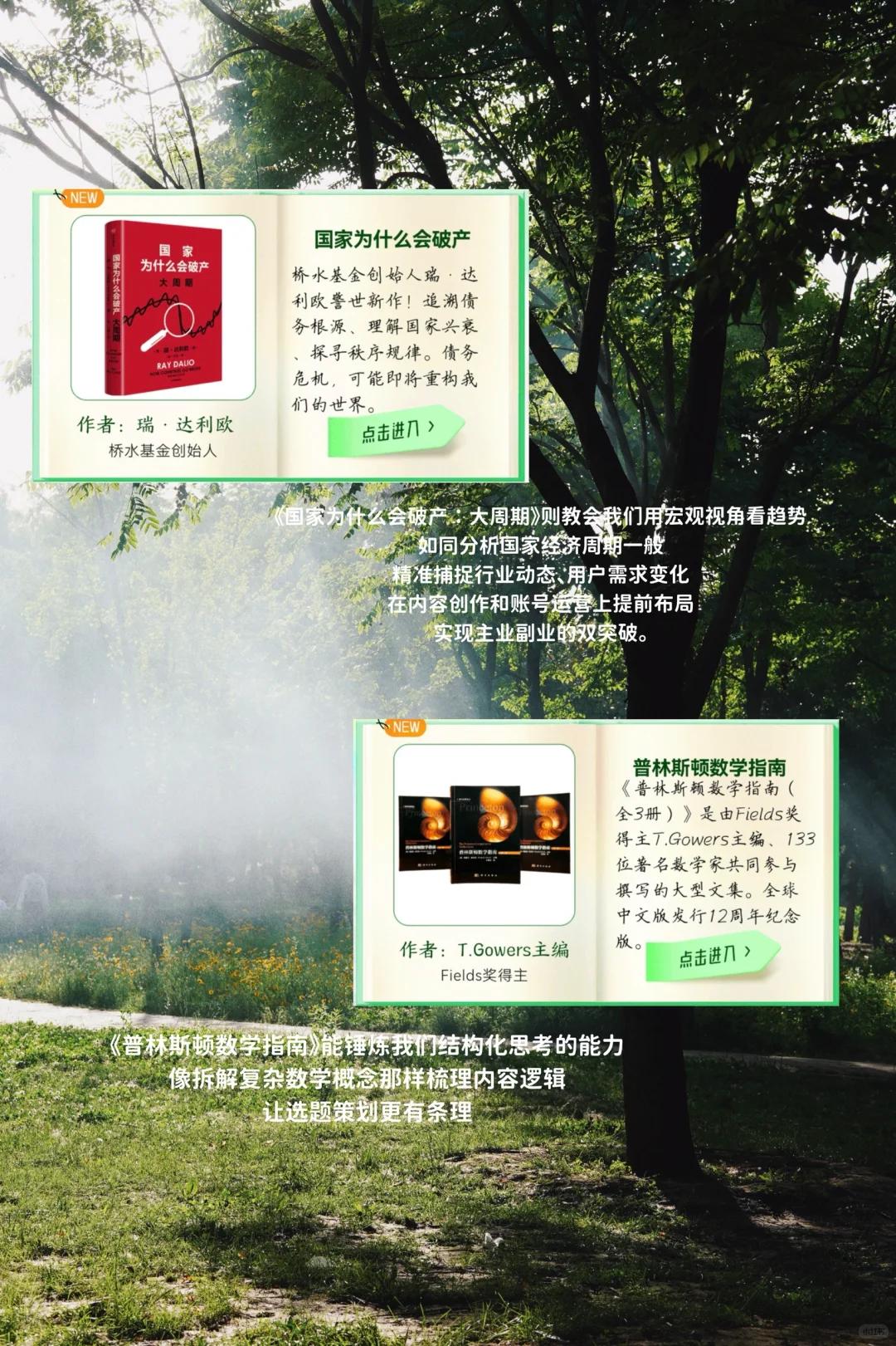 6月稿费2.7w收官｜我喜欢高能量的自己🫶