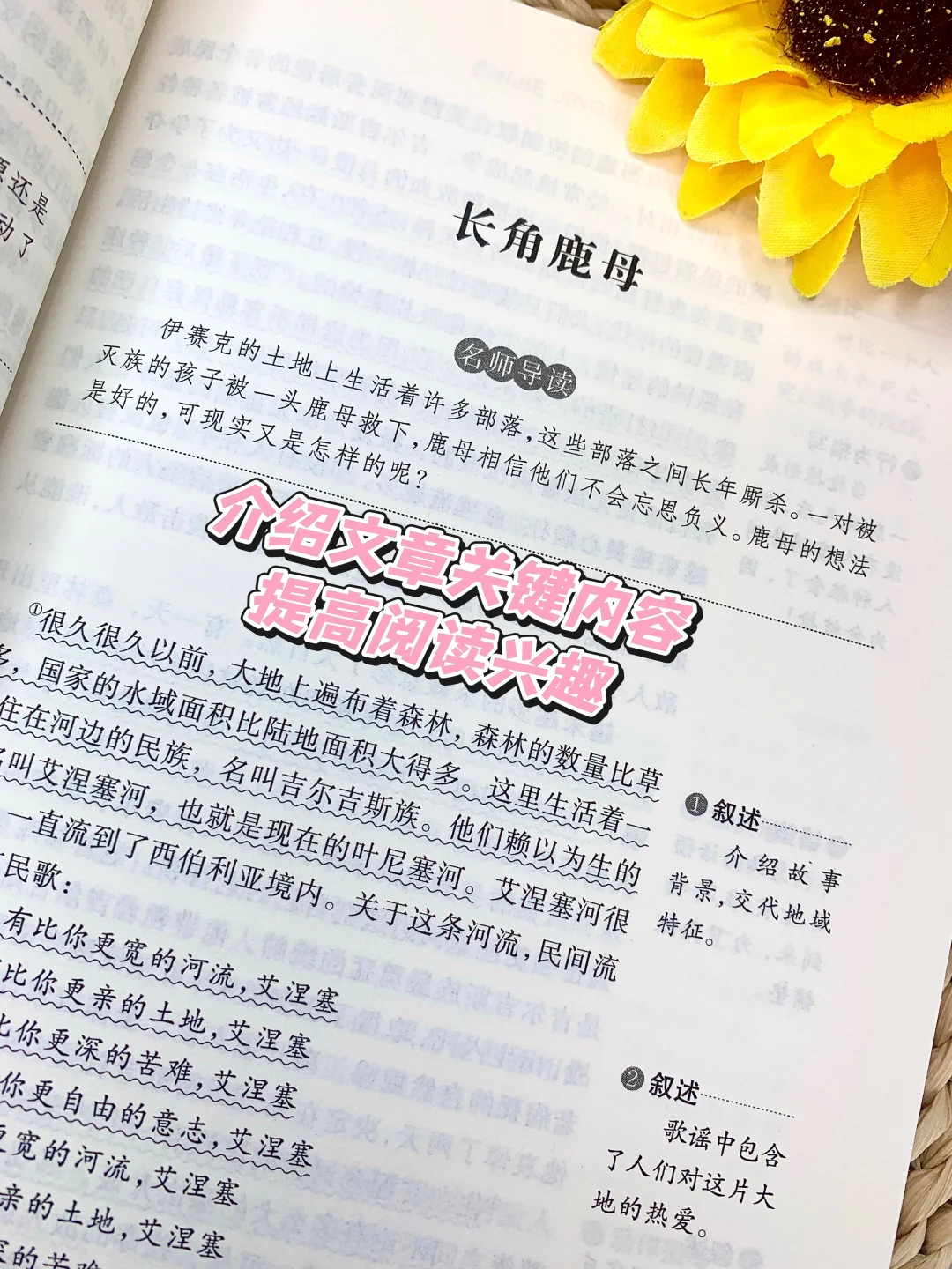宝妈！这套书让娃主动放下手机疯狂阅读！