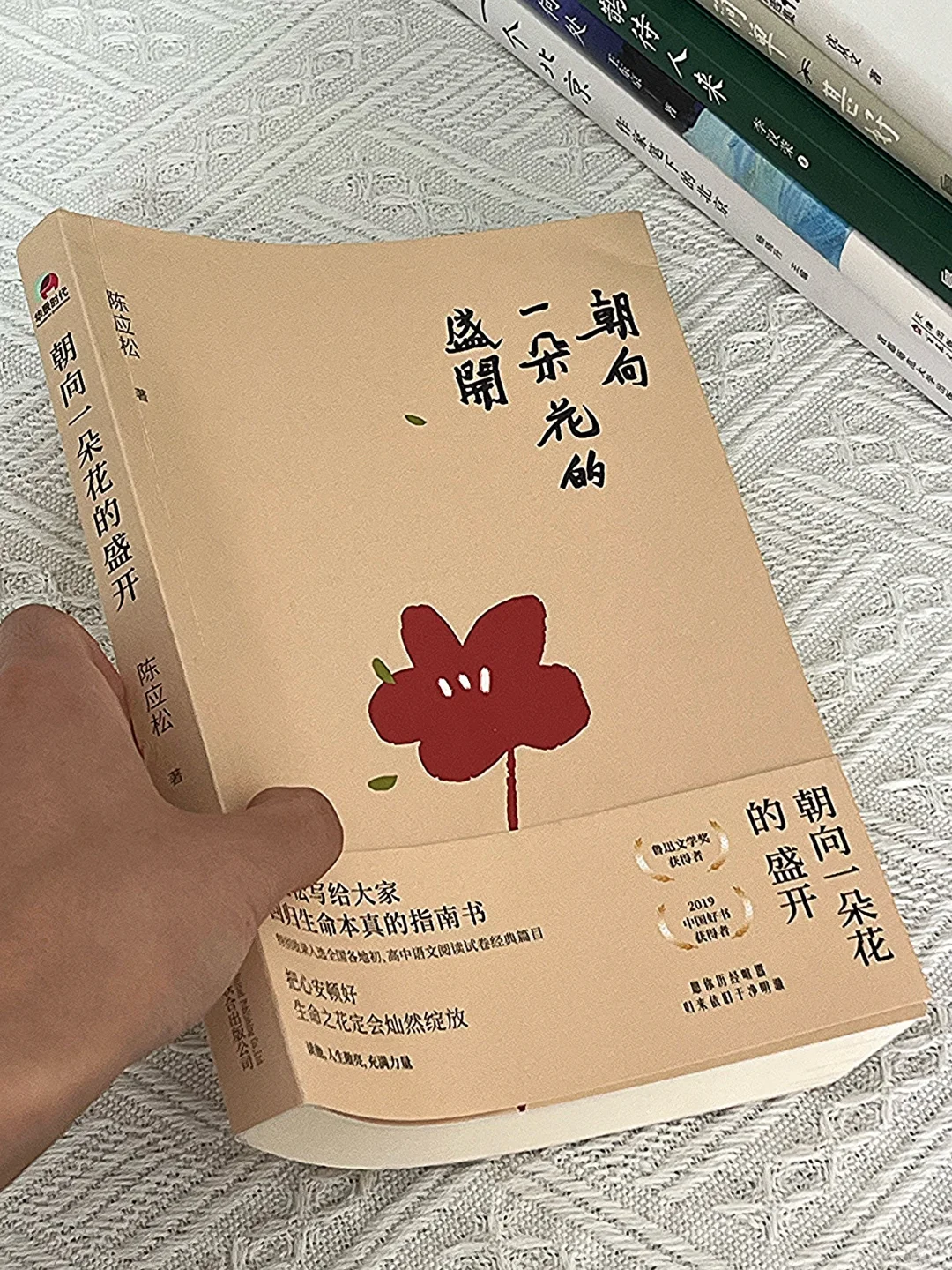 春日书单🍃翻看这几本书文笔真的会脱胎换骨