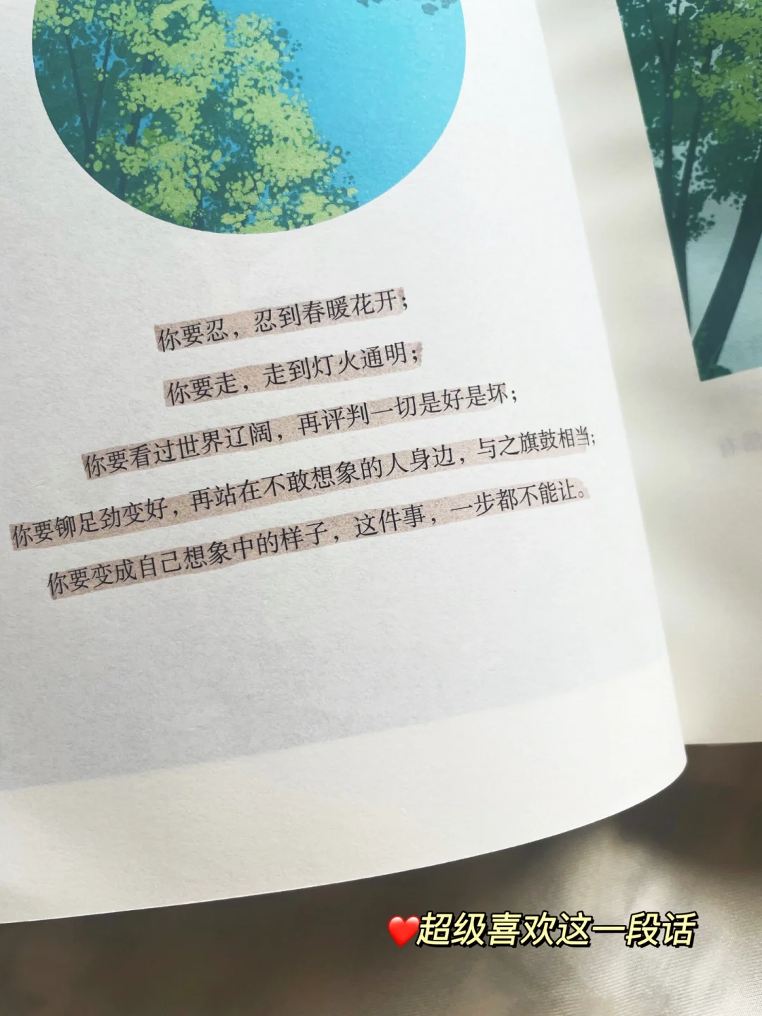 我心里的治愈系天花板！💛每一本都超爱～