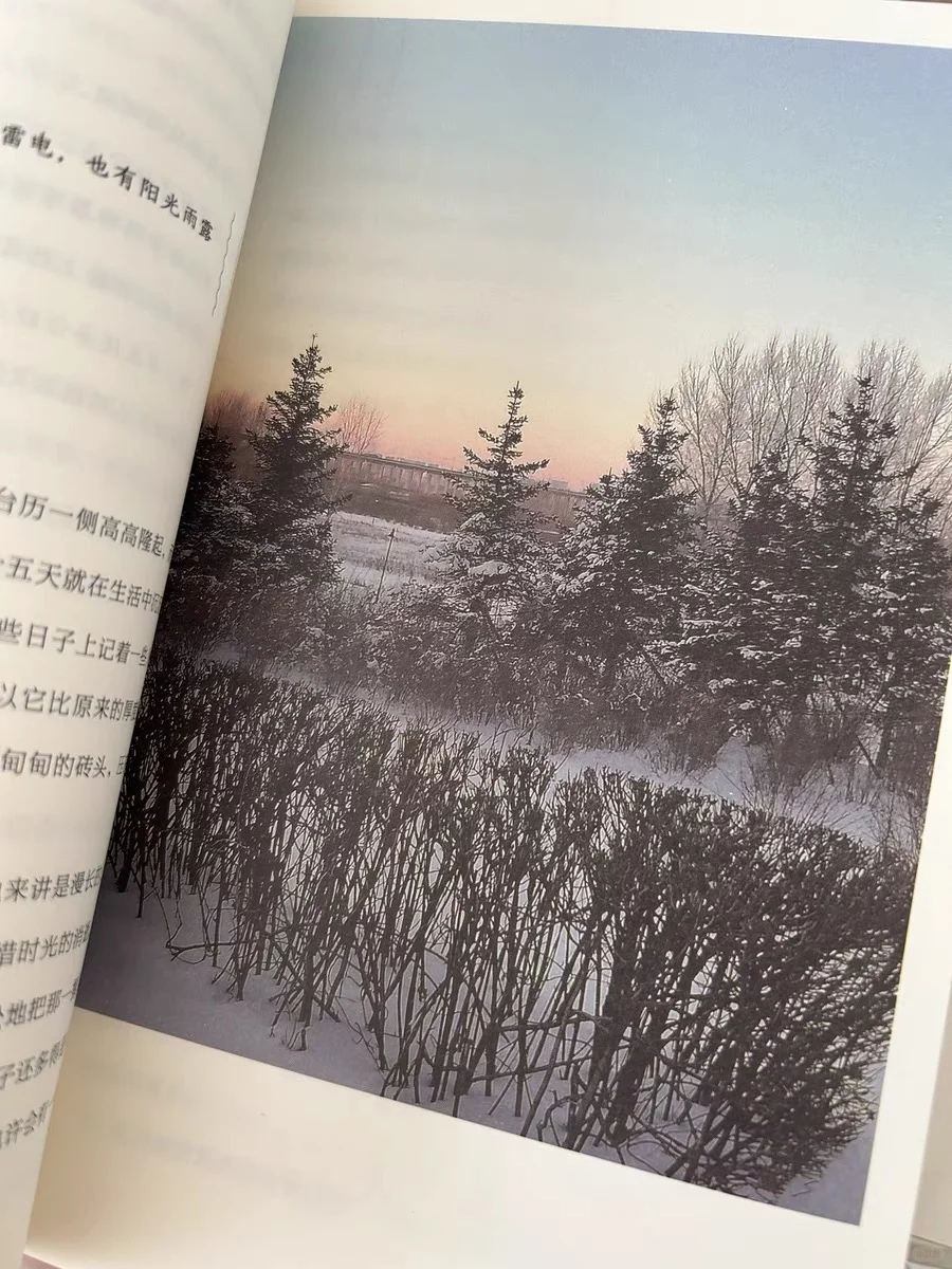让人沦陷的文笔！直接全文摘抄！