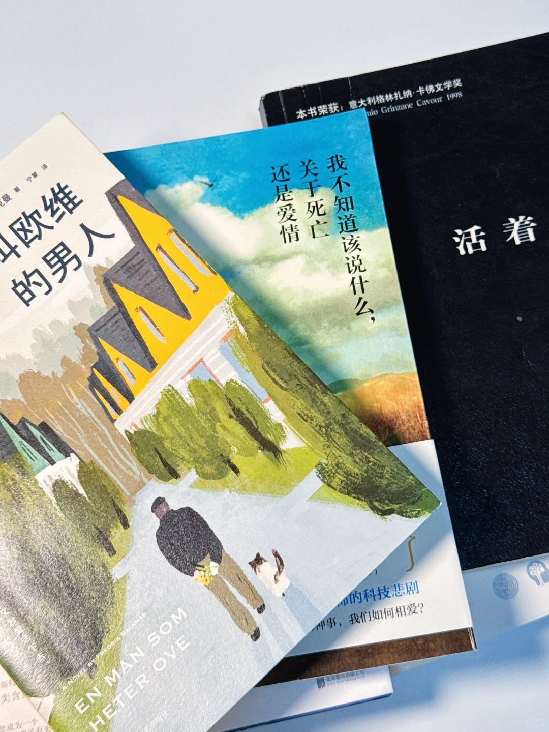 📖读一次哭一次｜6本看透人性脆弱的破防书单