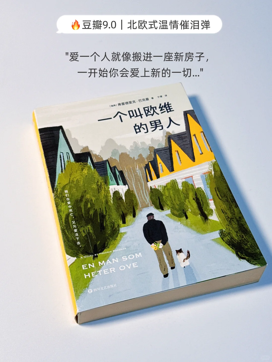 📖读一次哭一次｜6本看透人性脆弱的破防书单