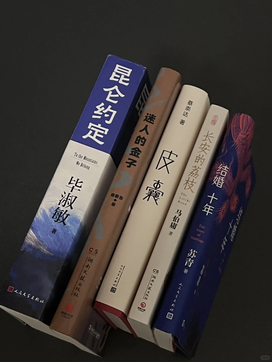 Pdd｜近期最触及我的几本书。