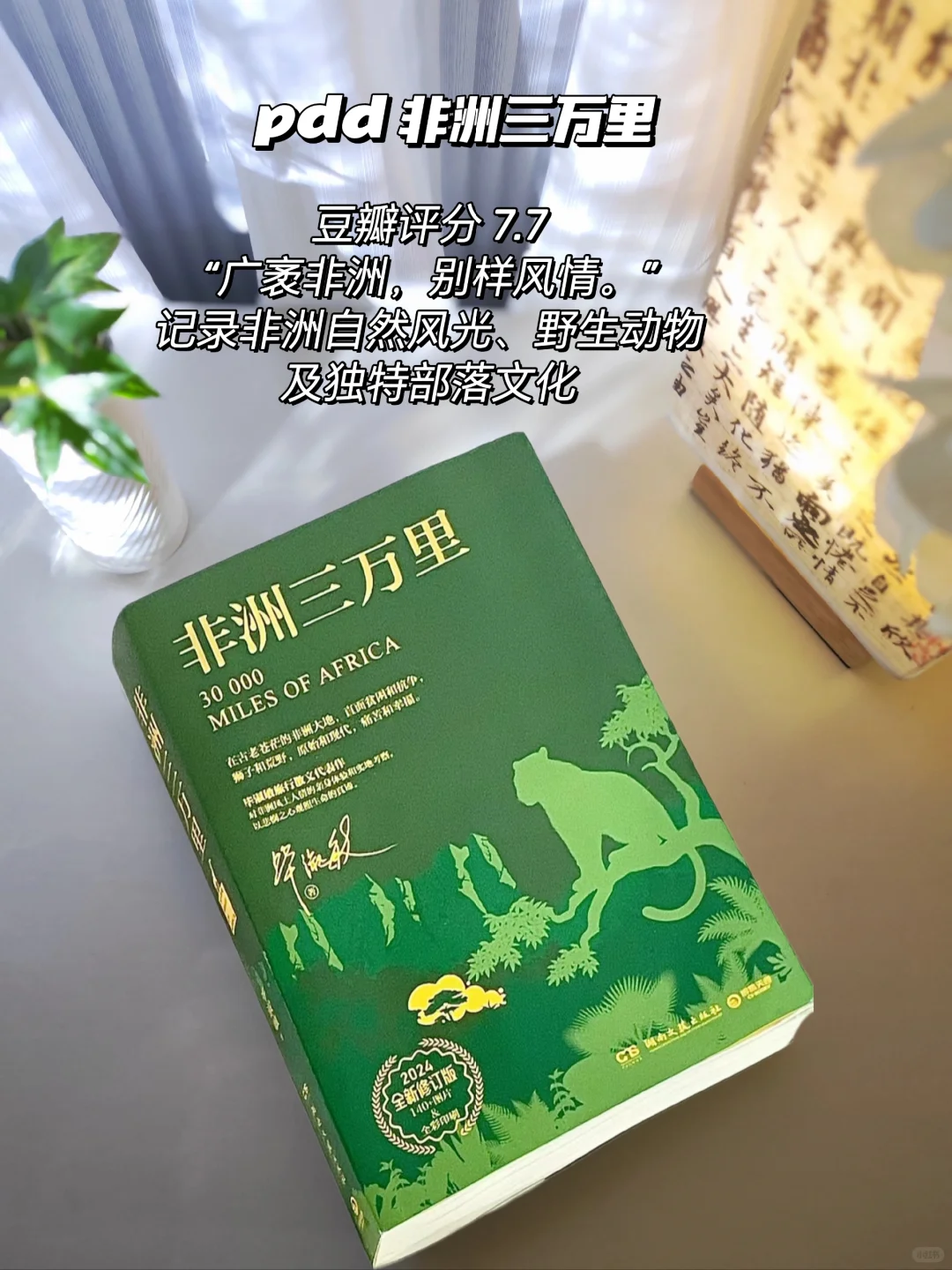 pdd书单分享｜拒绝焦绿的夏日清凉书单