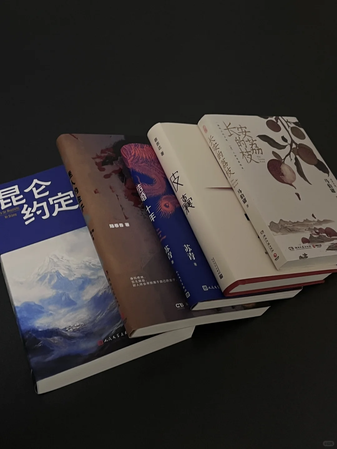 Pdd｜近期最触及我的几本书。