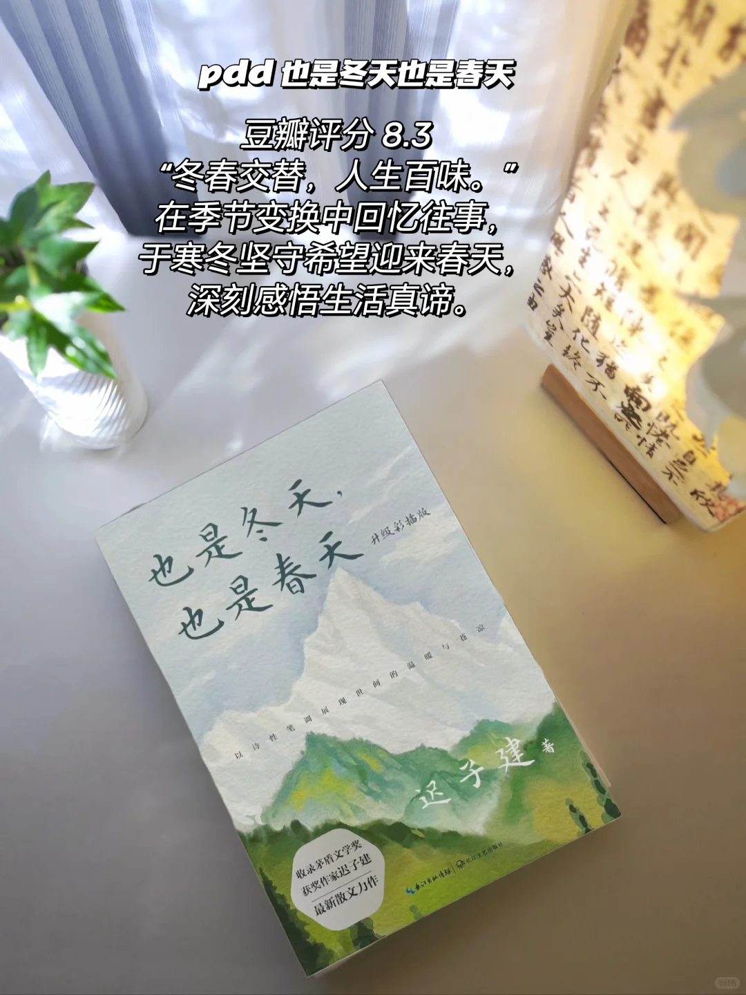 pdd书单分享｜拒绝焦绿的夏日清凉书单