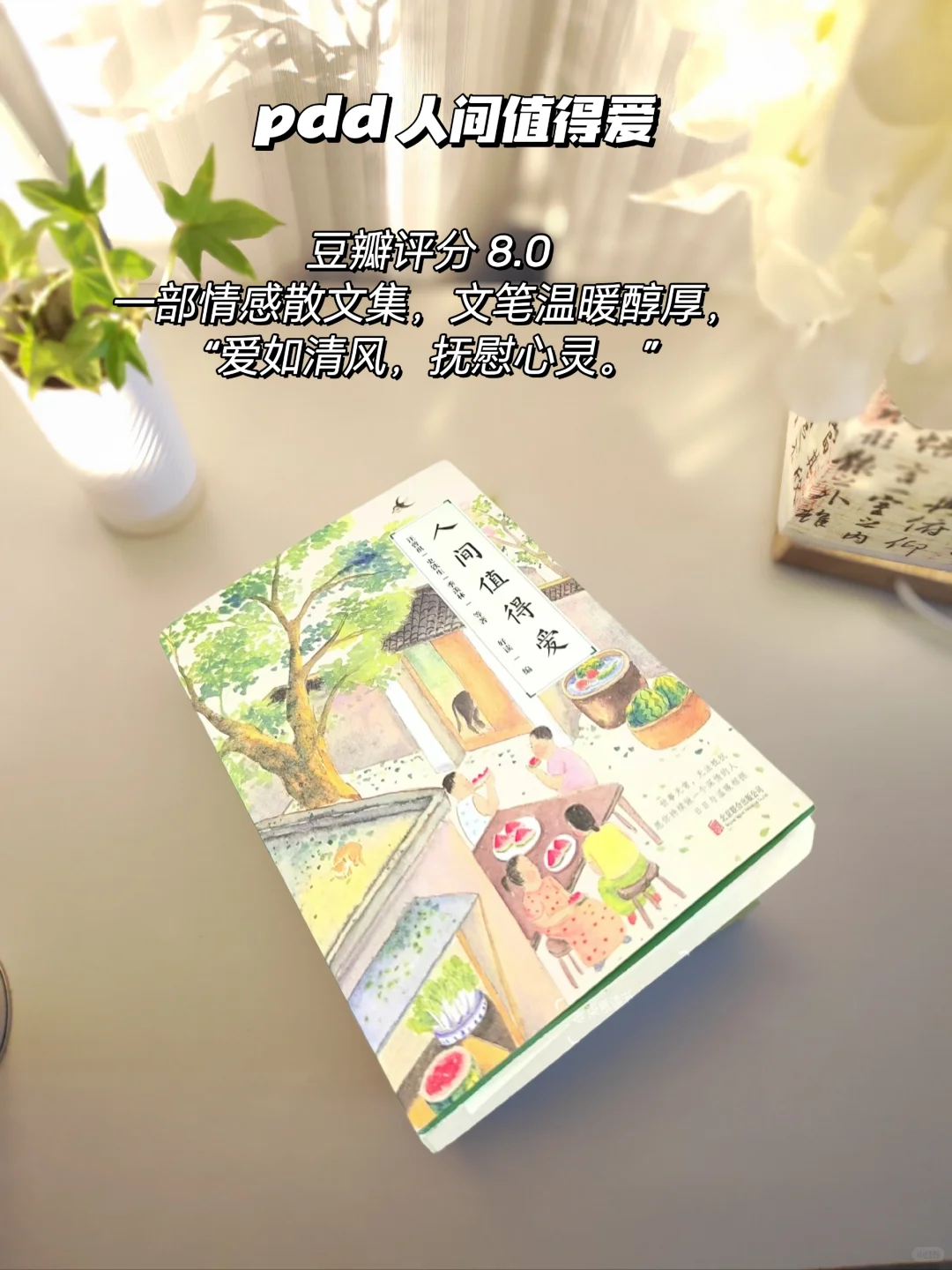 pdd书单分享｜拒绝焦绿的夏日清凉书单