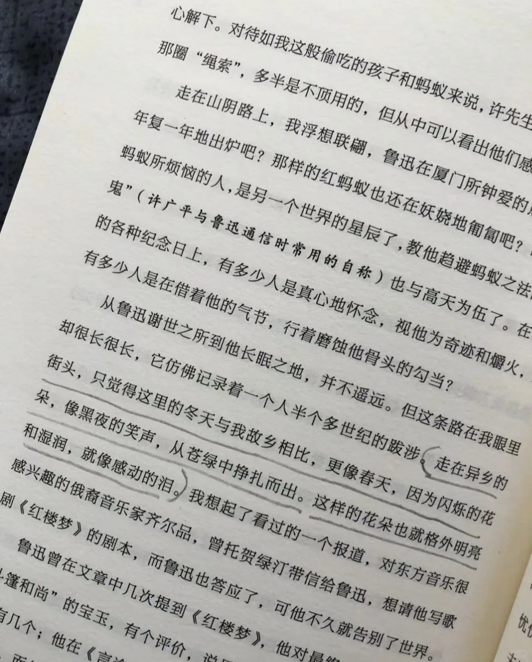 让人沦陷的文笔！直接全文摘抄！
